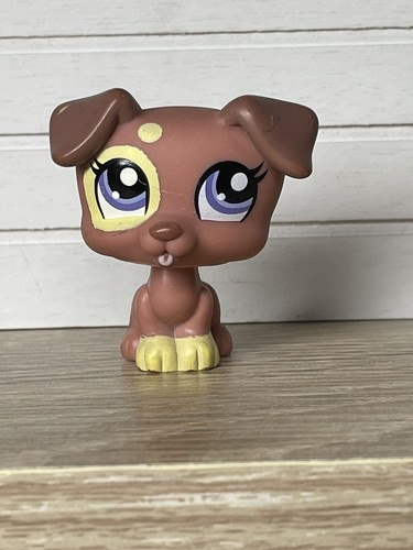 Petshop chien jack russel - chien,