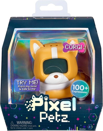 Mga entertainment corgi chien - mga,