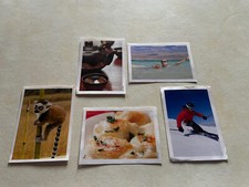 PANINI FAMILY PICTURE STICKER CROQUE LE MONDE DELHAIZE 2012 1CHOICE