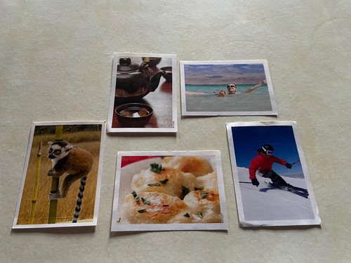 Image panini family - image,