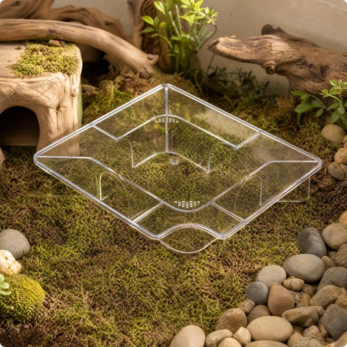 Cage hamster plusieurs - à, à