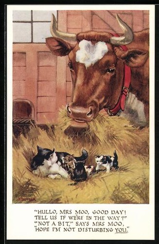 Vache dans étable - vache,