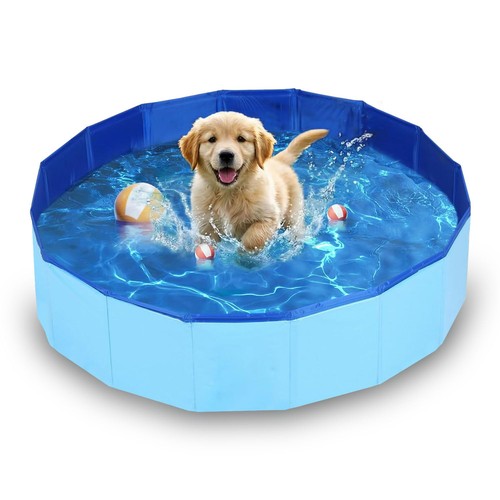 Piscine pour chien - piscine, et