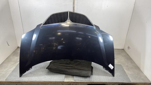 Capot lancia phedra - capot, 1400618888