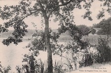 80 AMIENS ETANG DE BRIN