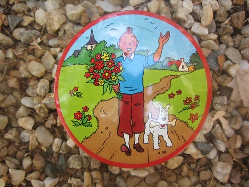 Boite métal tintin brochet - tintin,