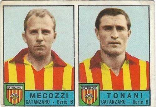 Mecozzi tonani catanzaro - mecozzi/tonani,
