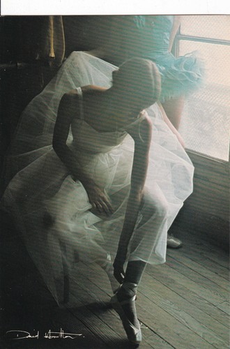 Carte postale david hamilton - carte,