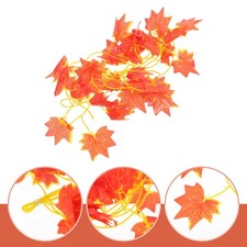  Terrarium Decor Reptile Box