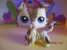 Petshop Dog Colley No.2210