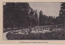 1911 -- LA BAIN DE PIED DANS LA VASQUE AU VERNAY