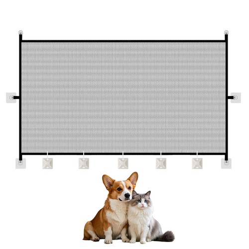 Barriere chat - barriere, chat,