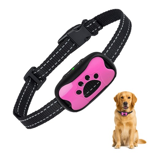 Puppy safe collier - puppy,