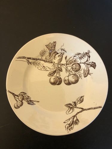 Assiette décor oiseau sur - décor,