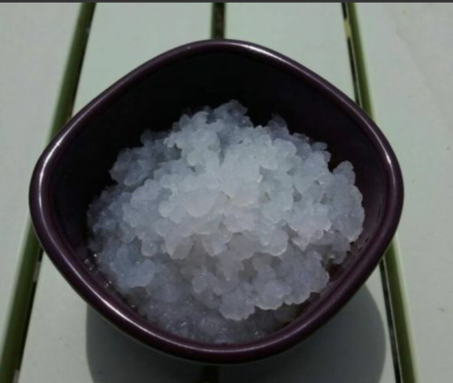 Grains frais kefir - grains, de