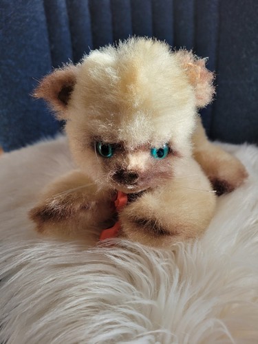 Petit chat peluche osb vintage - petit,