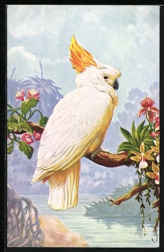 Carte postale artiste - postale, d'artiste