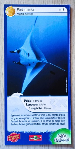 Carte merveilles monde - carte, du