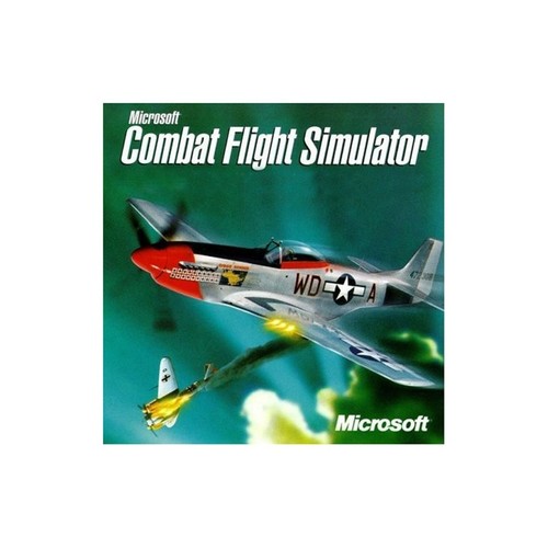 Combat flight simulator