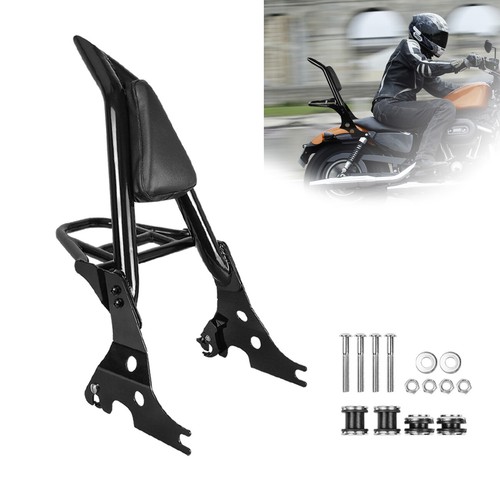 Backrest sissy bar luggage - bar, w/luggage