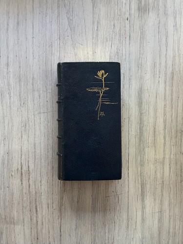 Beautiful blue leather bound - beautiful,