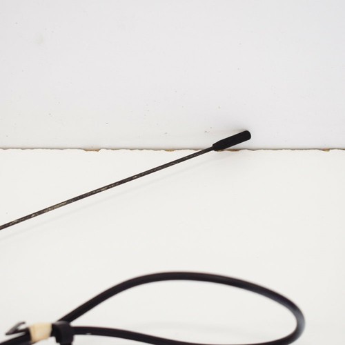 Antenne toit pour citroen - toit,