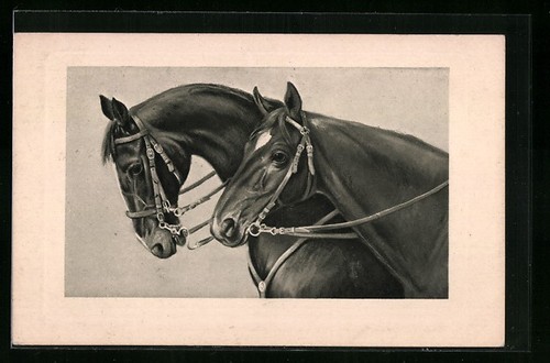 Carte postale deux chevaux - postale,