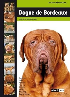 Dogue bordeaux dog breed - bordeaux:,