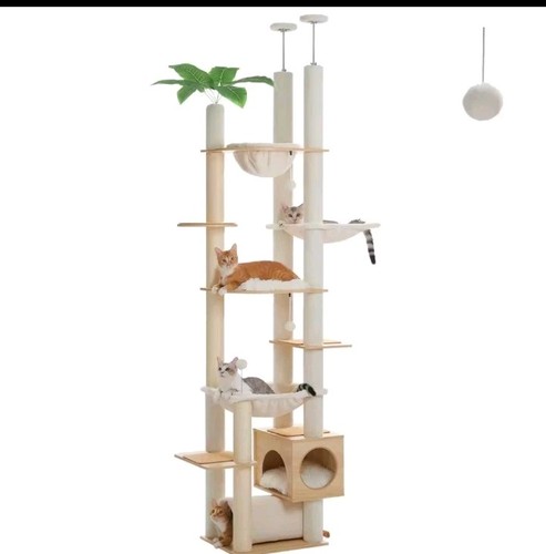 Arbre chat - arbre, À