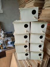 9 Nid Perruches Ondulee 