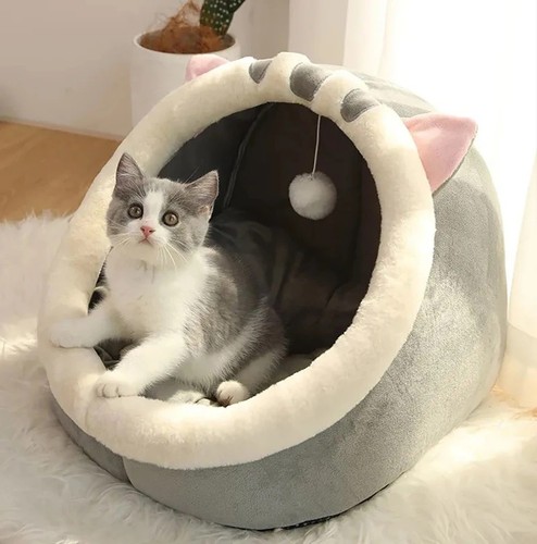 Niche pour chat - niche, chien