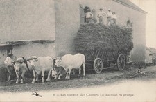 CP WORKS DES FIELDS BARN - OX HITCH - 81410