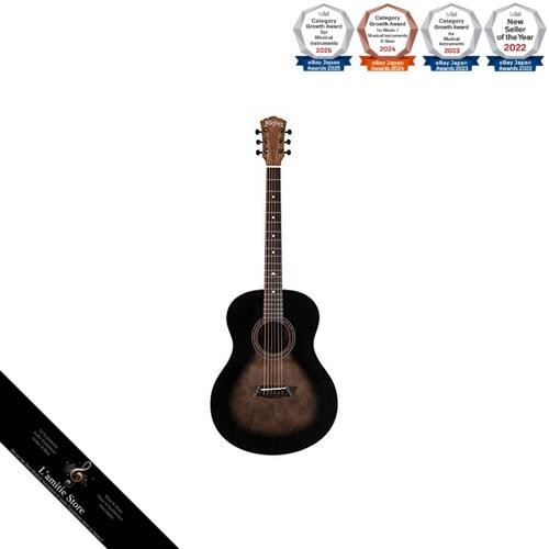 Guitare acoustique washburn - guitare,
