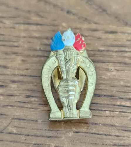 Insigne doré boutonnière rnp - insigne,