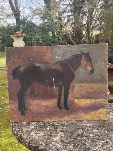Horse study late 19th - -,
