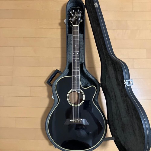 Guitare électrique acoustique