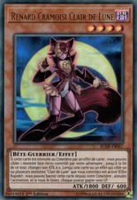 Yu-Gi-Oh : Renard Cramoisi