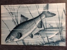 ILLUSTRATED CP SIGNED RAOUL GUINOT LE RARDON - FISH - 51475