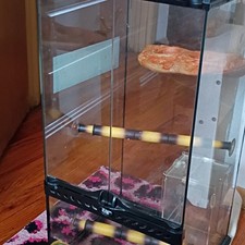 Glass Reptile Terrarium with