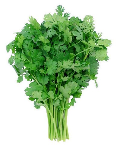 150 graines coriandre - 150,