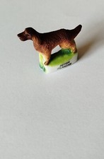 Fève chien : LE SETTER