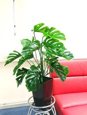 1/2 usine de fromage suisse en