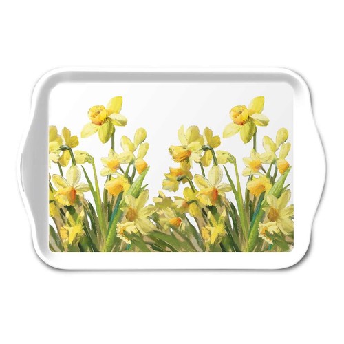Petit plateau rectangulaire