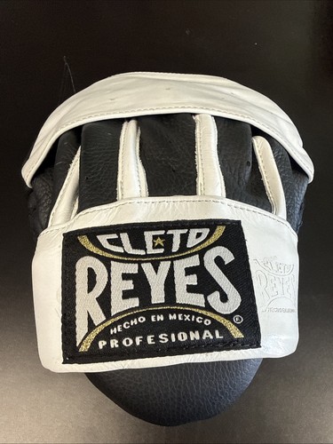 Cleto reyes boxing punching - reyes,