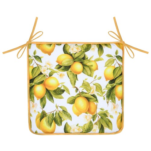 Galette chaise citrons - galette, en