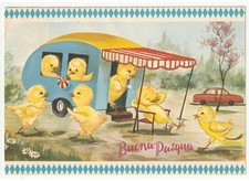 1970 Poussin Vêtements