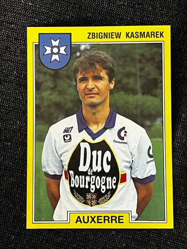 Vignette sticker panini foot - vignette,