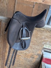 Wintec Isabell Werth BROWN dressage 17.5