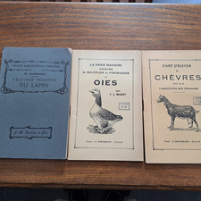 Elevage Oies Chèvres Lapins et Ecrevisses 4 vols Milieu 20°
