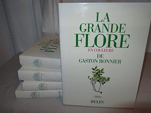 Grande flore couleurs - grande,